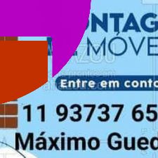 maximoguedesneto